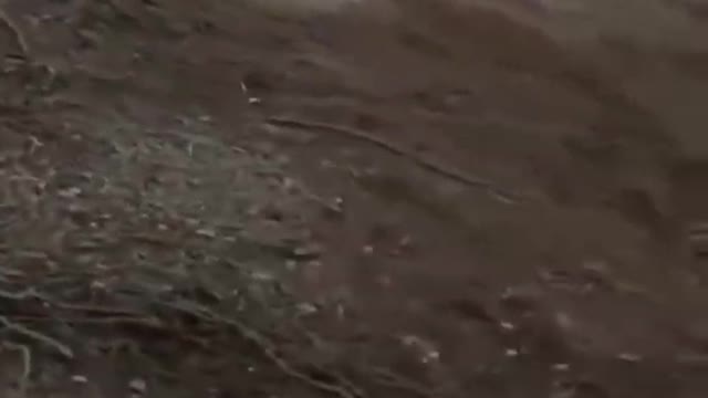 Chechen Soldiers are Useless