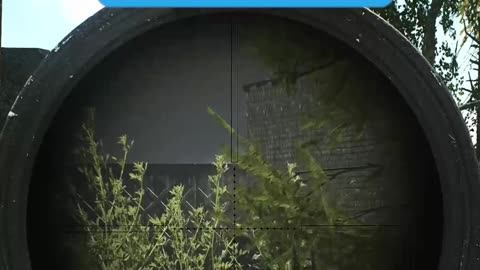 Through The Bush!