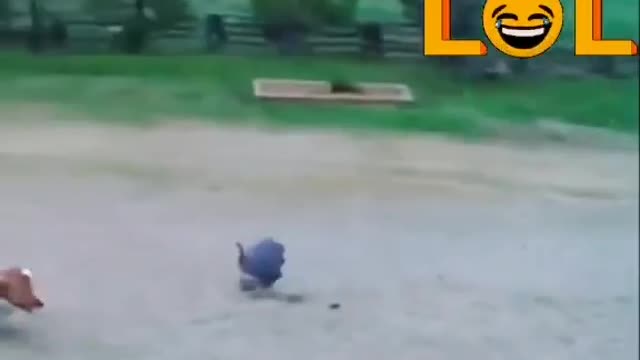 Fun with Dog & Hen