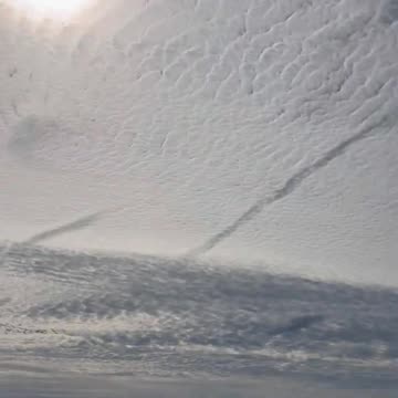 this is not fkn normal