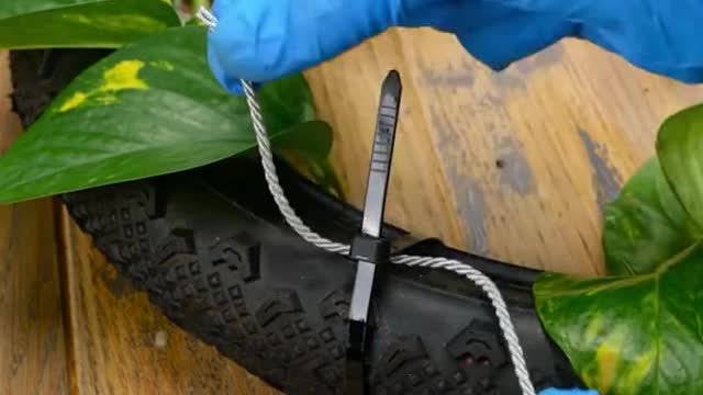 Your Home made Creative Decor.