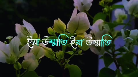 আমাদের প্রিয় নবি হযরত মুহাম্মদ সাঃ সালাম ❤️🥰🥀