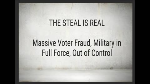 THE STEAL IS REAL-Voter Fraud Update