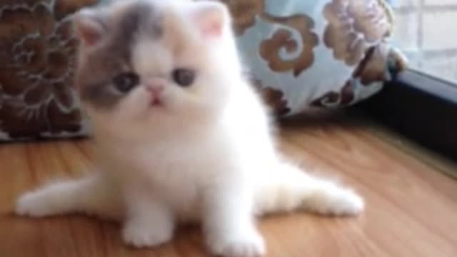 How was my performance