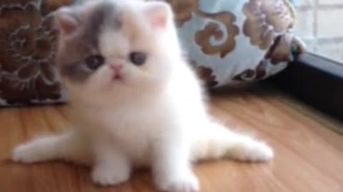 How was my performance