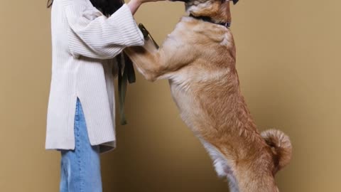 Woman Training a Dog