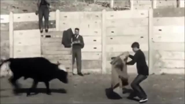 Toro controlado remotamente en 1963. Este es lo que nos espera Covid 19 Plandemia Coronavirus