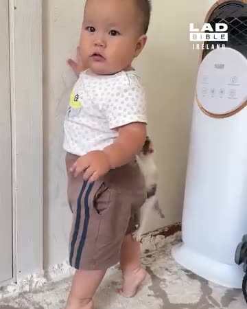 Kitten Clings To Little Boy