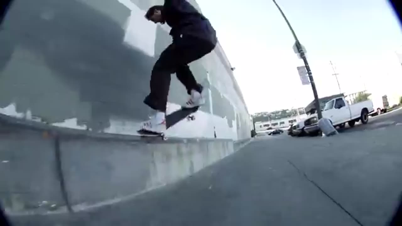 Mark Suciu's _Blue Dog_ Adidas Part