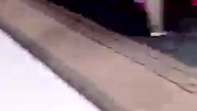 Love With Family Cats Also Do That