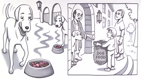 dog food history