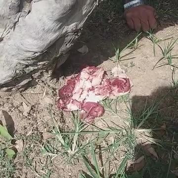 La puesta en escena con la que un artista bumangués retrata la crudeza del conflicto armado