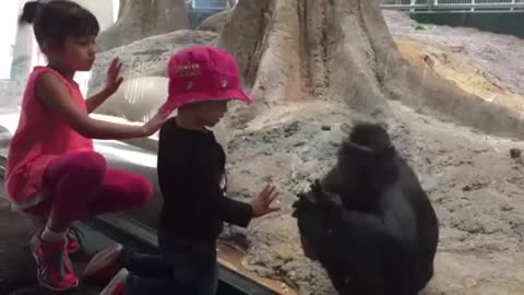 FUNNY Babies and Monkey Become Best Friend