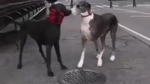 como cuando no as visto a tu amigo por mucho tiempo