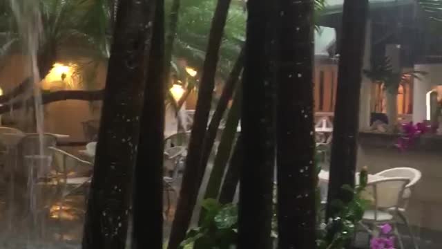 Tropical rain in October