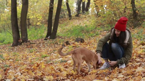 Beautiful woman with dog playing in autumn park