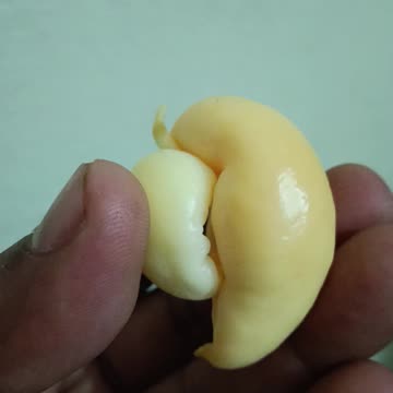 Something Amazing found inside Papaya