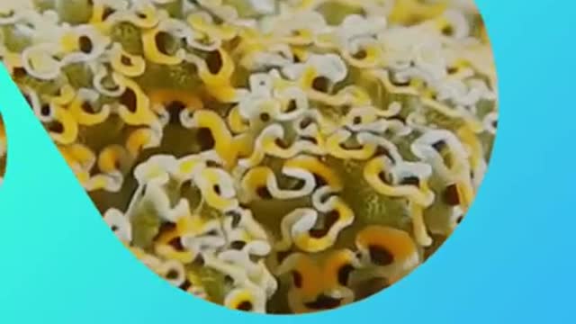 3 Fun Facts That Will Blow Your Mind