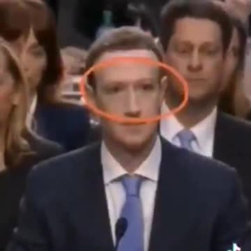 Life-like Robotic Trump/Elon