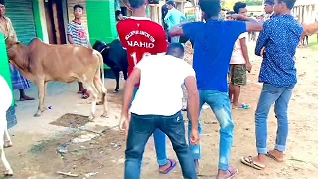 STREET DOG FIGHT || DOG FIGHT VIDEO 🐕DOGS BARKING