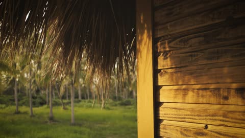 Palapa and a palms garden