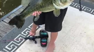 Boy Reels in Huge Largemouth Bass