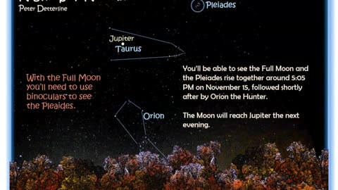 November 2024 Night Skies