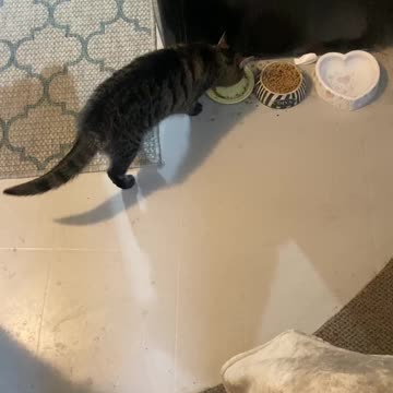 Super picky. Super sassy.