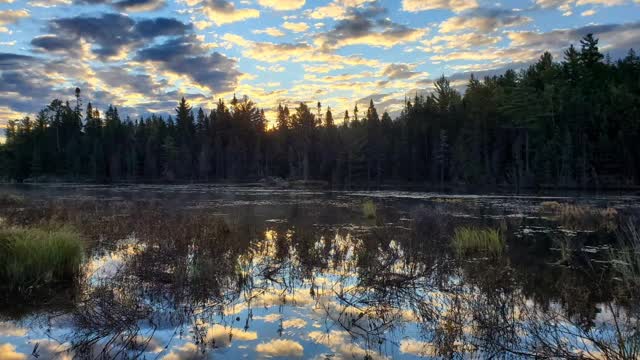 Time lapse late summer to early spring