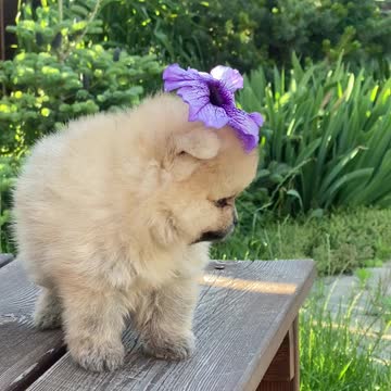 Isn't my little angel so cute