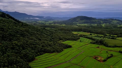 February 2021 | Rio Grande Do Sul | Brazil