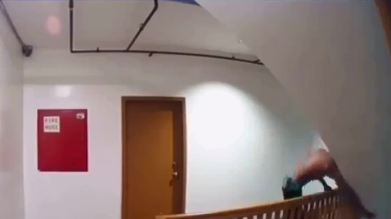 Man Drops Dog From Height