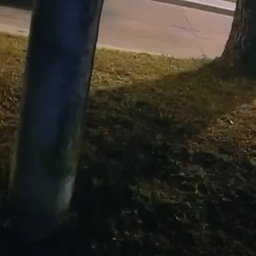 Neblina en el Bulevar Rodríguez Correa - Tacuarembó (22/07/2024)