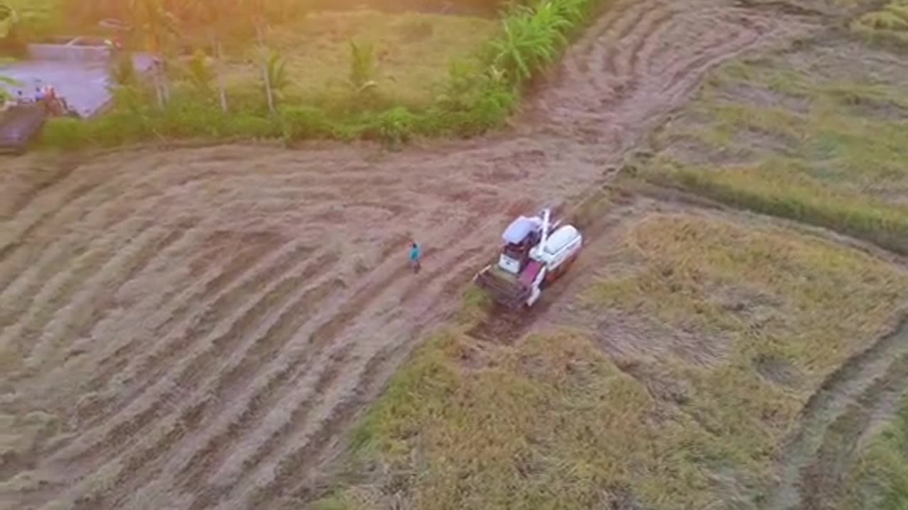 Exploring Village Life in Polonnaruwa 🇱🇰 #DroneViews #FarmingLife"