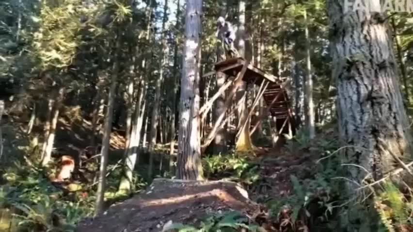 The Best Of Extreme, Hilarious & Brutal Fails