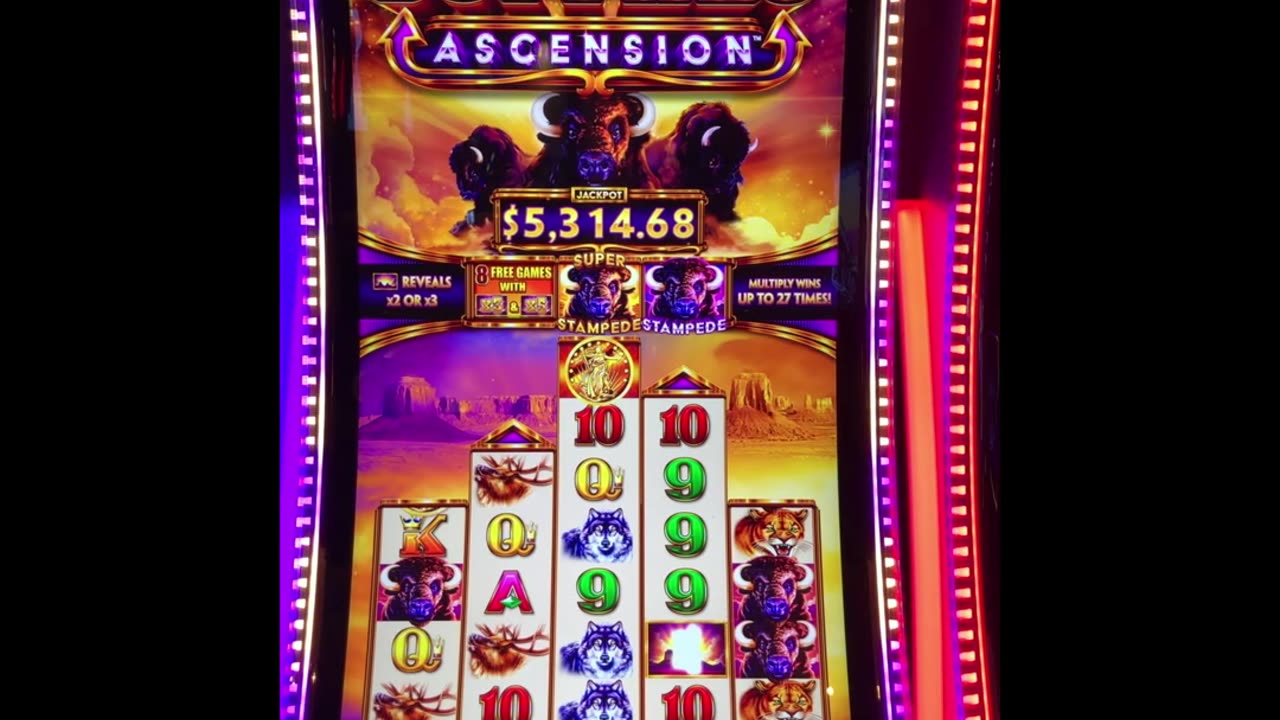 Bonus Round on Buffalo Ascension Slot 🎰🎰