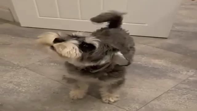 Cuddly and caring animals