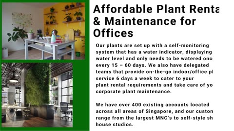 Leading Provider Of Professional Indoor Office Plant Maintenance By Prince's Landscape Pte Ltd