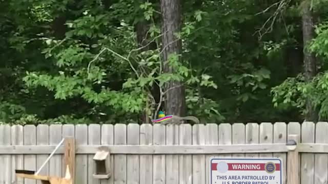 An Example Of A Good Border Wall...
