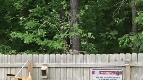 An Example Of A Good Border Wall...