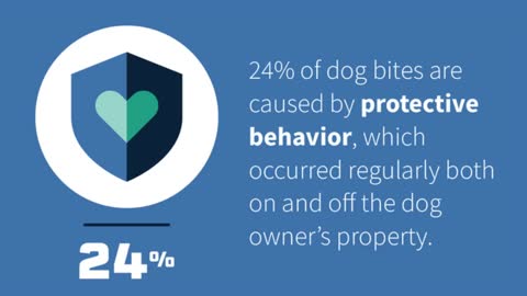 Florida Dog Bite Statistics