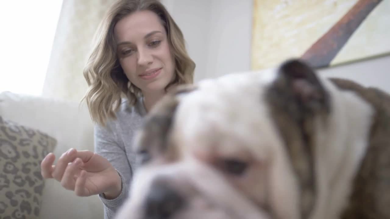 Rack focus dog getting his treat