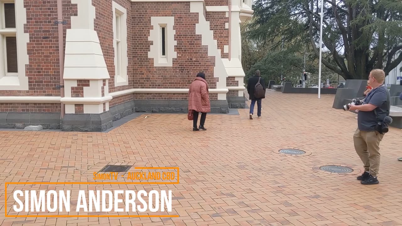 Darleen Tana v The Greens and Chloe Swarbrick at Auckland District Court