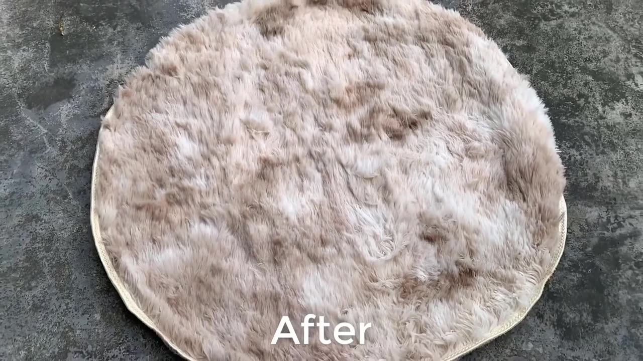 Satisfying Carpet Washing ASMR | Deep Clean & Relaxation Sounds