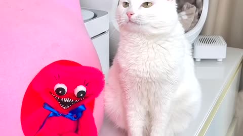 СОФА БОИТСЯ ПАРАЗИТОВ! (1080p) Shor t video