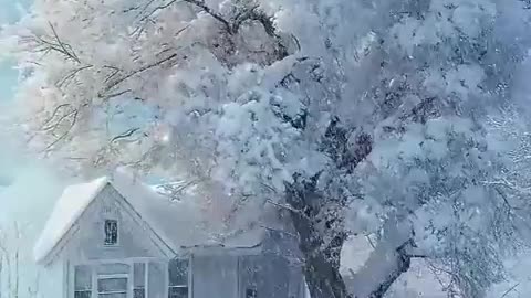 Winter is not a season, it’s a celebration 🌧️
