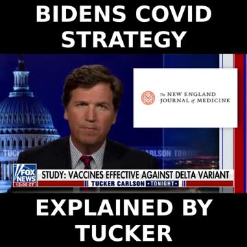Biden's covid strategy in a nutshell
