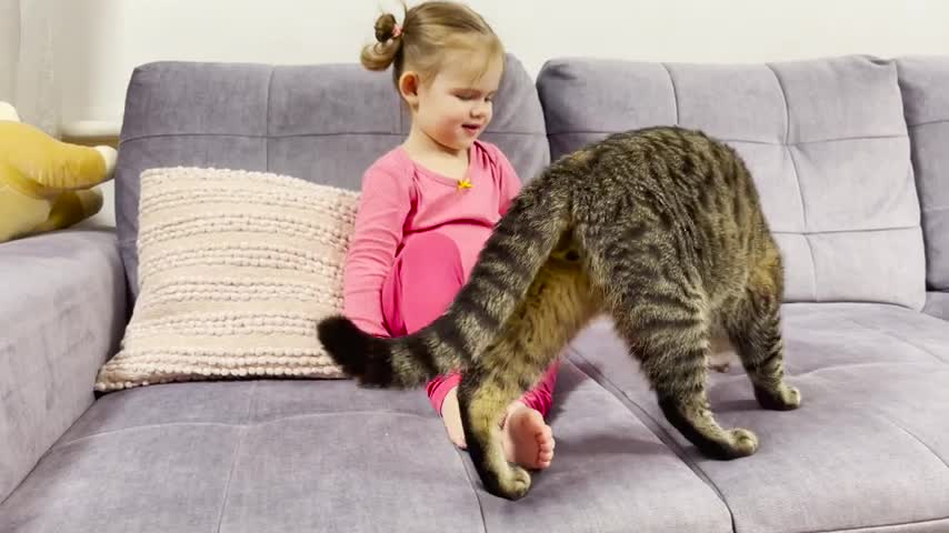 Cute_Baby_Feeding_Cats