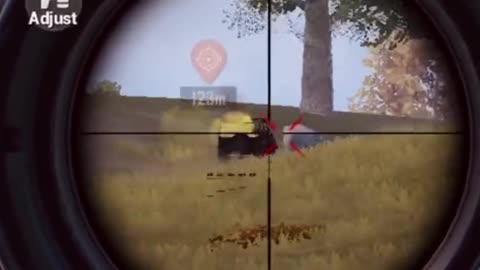Pub g