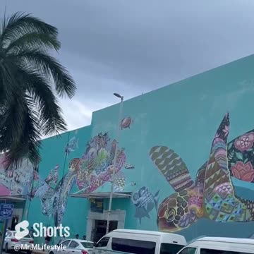 The Giant Turtle In Playa Del Carmen